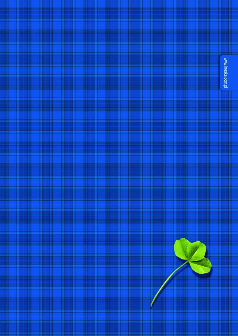 Brulion A4 96k. gładki Kreska